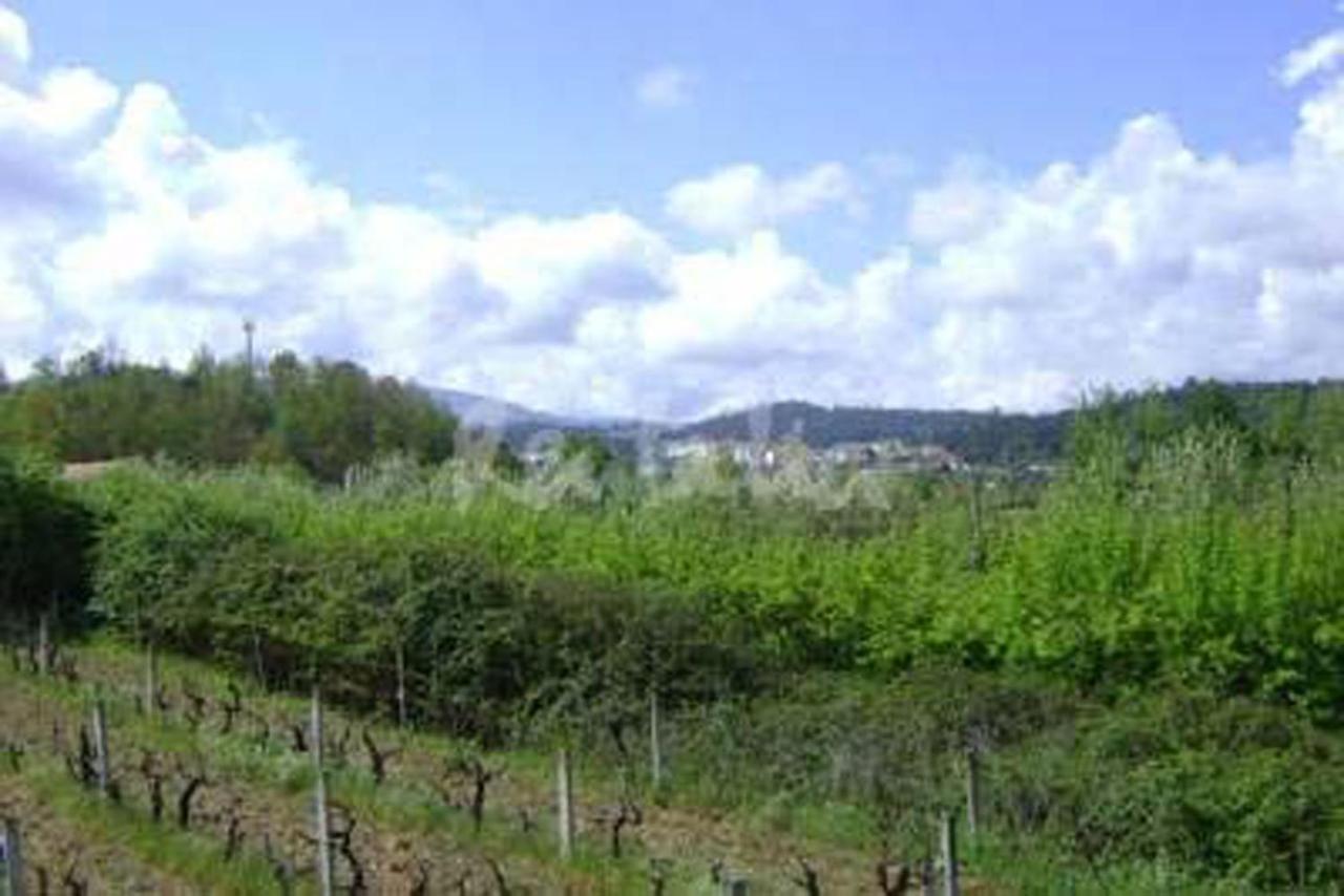 Villa Casa Rustica Arganil Exterior foto